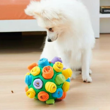 Un petit chien blanc joue avec une balle pour chien vert avec des croquettes cacher à l'intérieur
