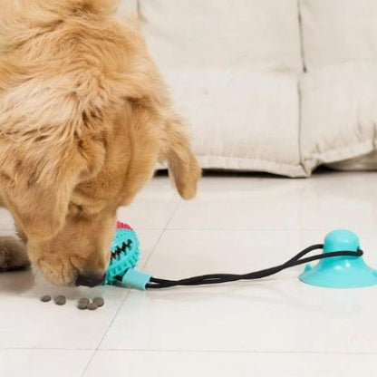 golden retriever jouant à l’intérieur avec une balle pour chien interactive avec des croquettes fixée au sol