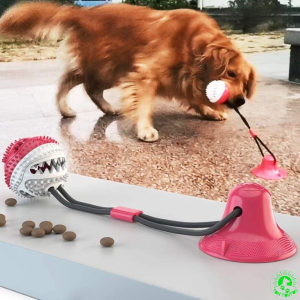 balle-pour-chien-interball-rouge