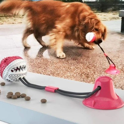 balle pour chien interactive rouge reliée à une ventouse, avec un golden retriever en train de jouer