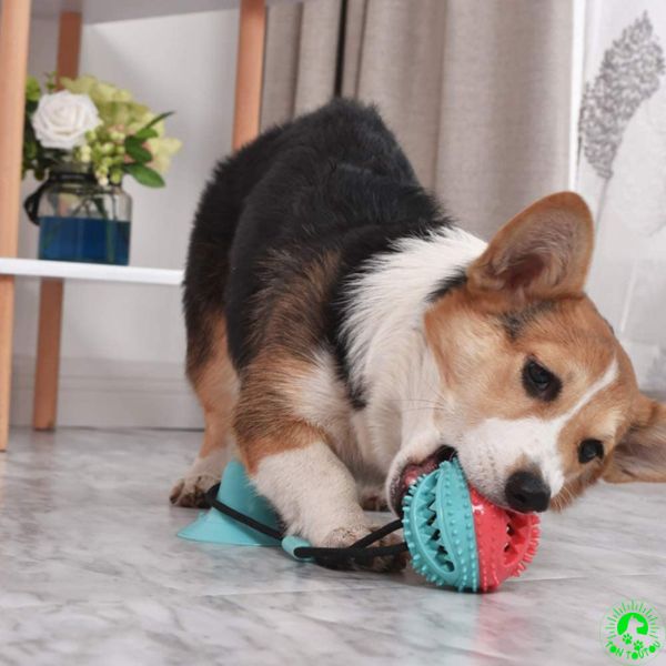 balle-pour-chien-interball