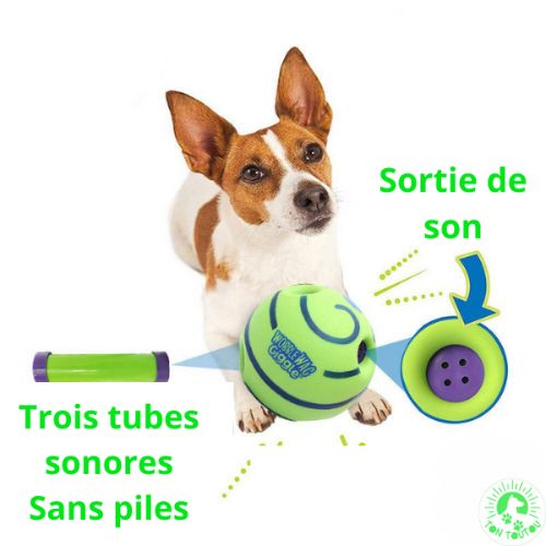 balle-pour-chien-sonore