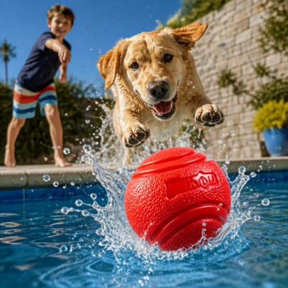 Un Golden Retriever attrapant une balle indestructible pour chien rouge dans une piscine sous le regard d'un enfant.