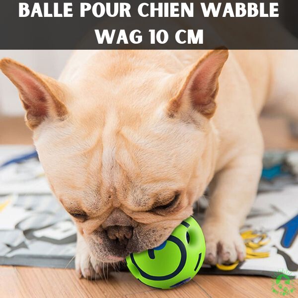 balles-chiens-wabble-wag-10-cm