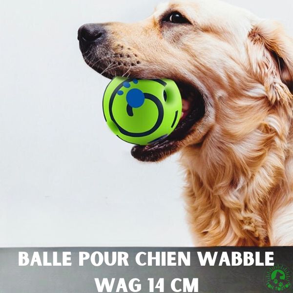 balles-chiens-wabble-wag-14-cm