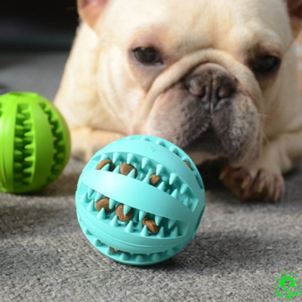 ballon-incroyable-pour-chien