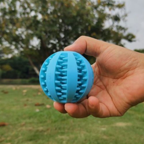 Un ballon pour chien à friandises et mastication couleur bleu indestructible