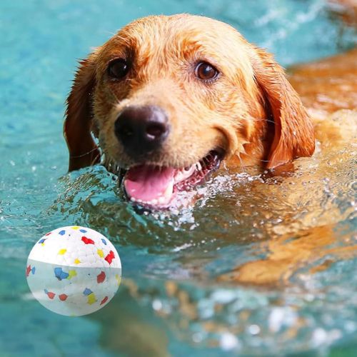 Chien heureux qui joue dans l’eau avec le Ballon pour chien FlotBALL flottant et résistant