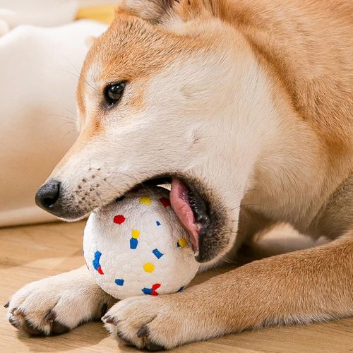 Moment de jeu à l'intérieur avec le Ballon pour chien conçu pour résister