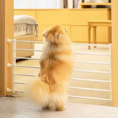 barriere chien pratique pour sécuriser une porte dans une maison moderne