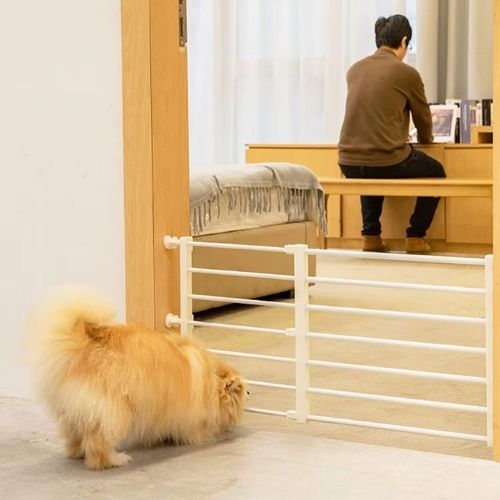 barriere chien empêchant un chien de passer tout en restant proche de son maître