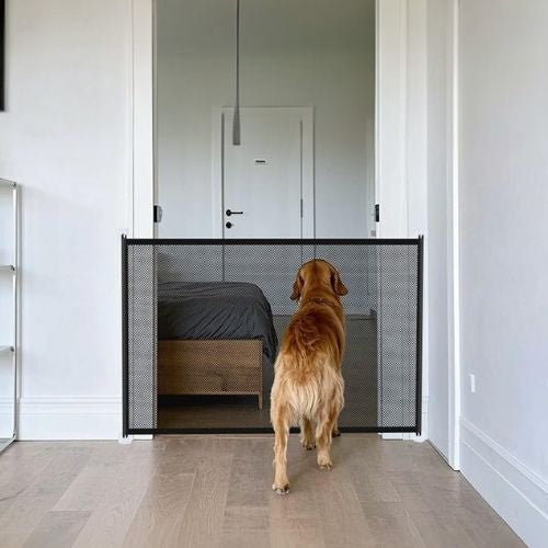 Barrière pour chien sans percer noir installée dans une maison pour limiter l’accès aux chambres