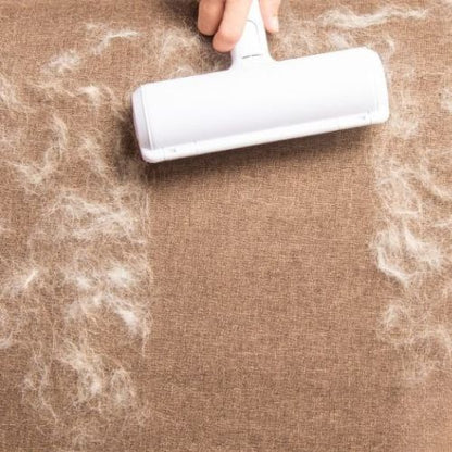 brosse anti poils chien nettoie un canapé beige plein de poils d'animaux