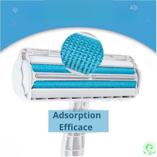 brosse-anti-poils-bleu