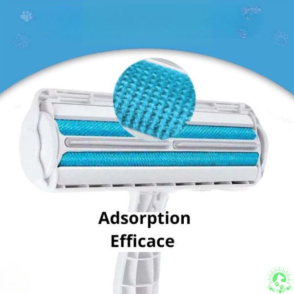 brosse-anti-poils-efficace