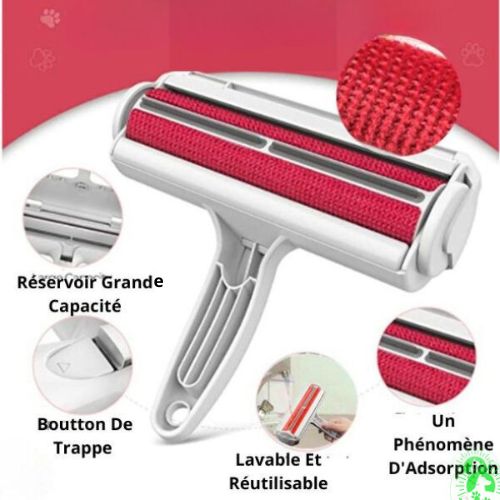 brosse-anti-poils-reutilisable