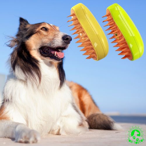 brosse-pour-chien-3-en-1