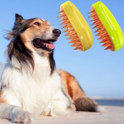 BROSSE POUR CHIEN A VAPEUR | VAPORBRUSH