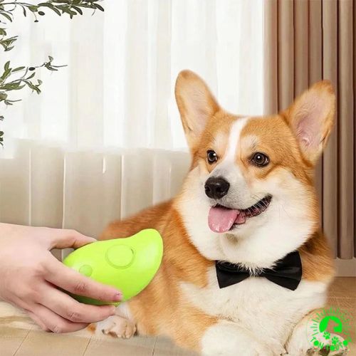 brosse-pour-chien-a-vapeur-vert