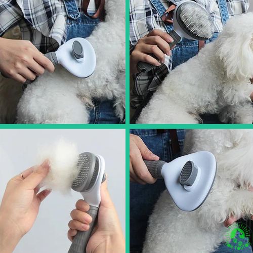 brosse-pour-chien-facile-a-utilise