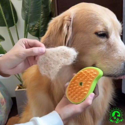 brosse-pour-chien-massage-anti-stress