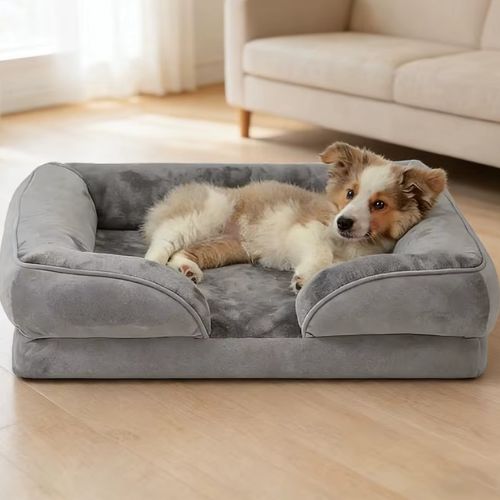 Un petit chien allongé dans un canapé chien gris moelleux et déhoussable facilite le nettoyage.