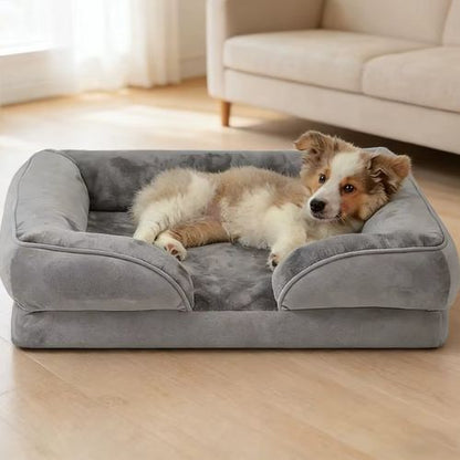 Un petit chien allongé dans un canapé chien gris moelleux et déhoussable facilite le nettoyage.
