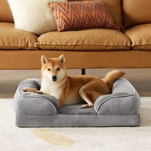 Un Shiba Inu allongé confortablement sur un canapé chien gris design moderne dans un salon chaleureux