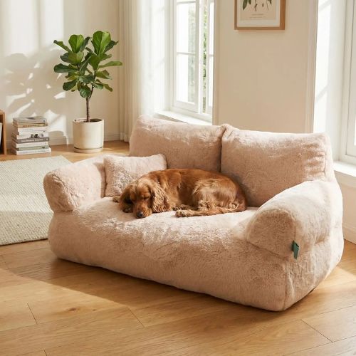 Un petit chihuahua blanc assis tranquillement sur un canapé pour chien doux et moelleux de couleur beige