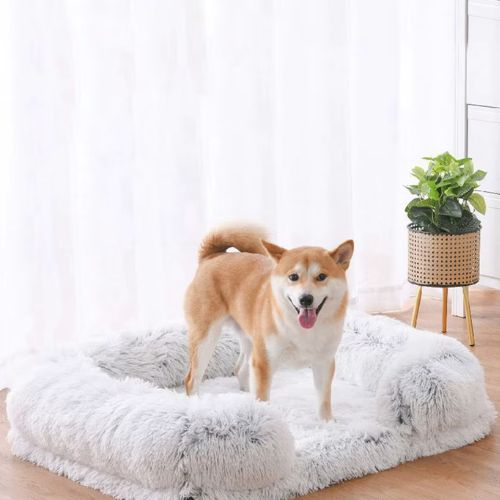 Chien Shiba Inu assis sur un canapé pour chien gris clair moelleux et déhoussable, mémoire de forme.