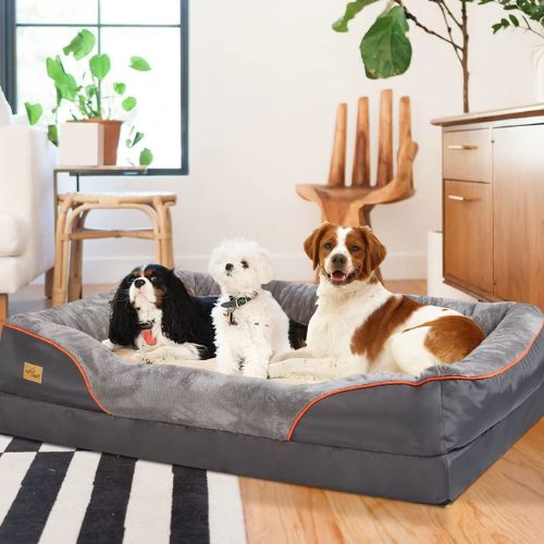 Trois chiens de tailles différentes reposant sur un canape pour chien orthopédique gris.