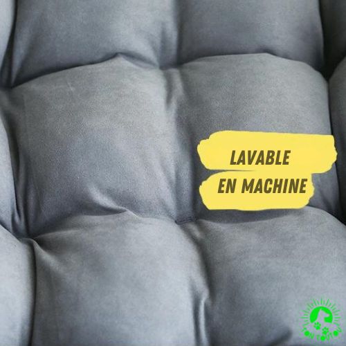 canape-pour-chien-moelleux-lavable