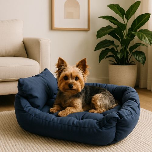 Un Yorkshire assis sur un canapé pour chien bleu en tissu doux et robuste, conçu pour un repos confortable et durable.
