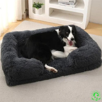 canape-pour-chien-noir