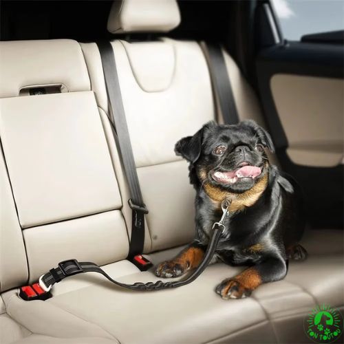 ceinture-de-securite-auto-pour-chien-noir