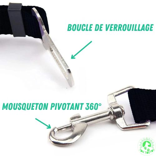 ceinture-de-securite-pour-chien-avec-mousqueton