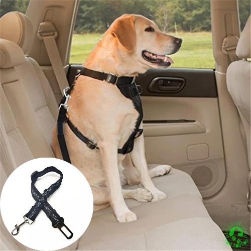 ceinture-de-securite-pour-chien-noir