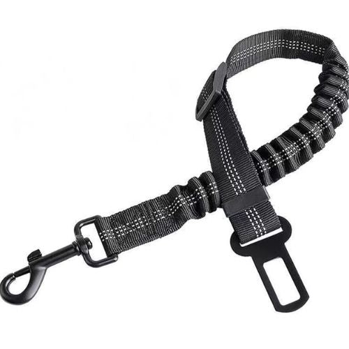 CIENTURE DE SECURITE POUR CHIEN | DOGBELT