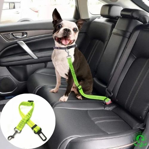 ceinture-de-securite-pour-chien-vert