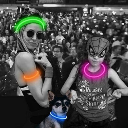 Collier lumineux chien assurant visibilité et sécurité, idéal pour promenades nocturnes et protection de votre compagnon