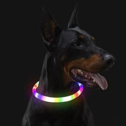 Collier lumineux chien multicolore idéal pour protéger votre compagnon dans l’obscurité