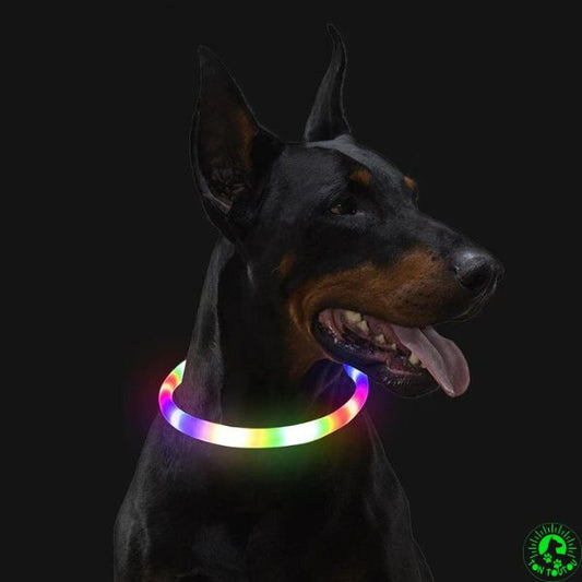 collier-lumineux-chien-multicouleurs