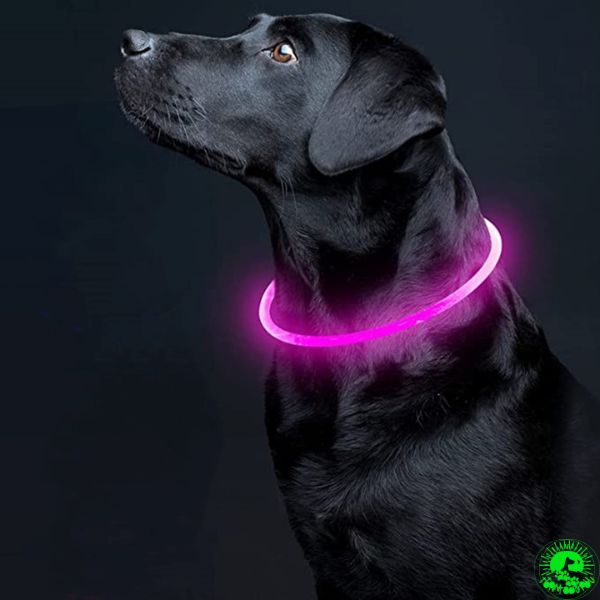 collier-lumineux-chien-rose