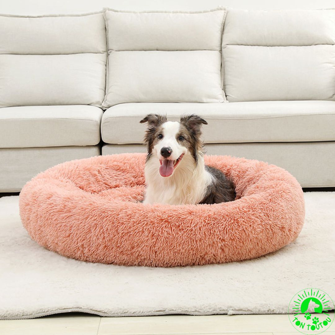 COUSSIN ANTI STRESS CHIEN | DONUTBED™