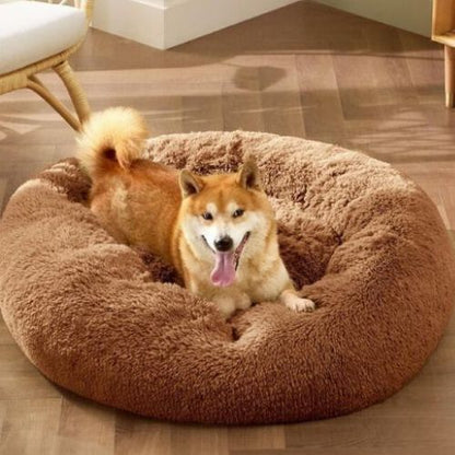 Un Shiba allongé confortablement dans un coussin anti stress chien grand taille marron format rond rembourrage épais pour un sommeil profond