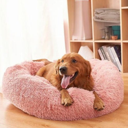 Un grand labrador marron allongé tranquillement dans un coussin anti stress chien rose format rond posé dans un salon