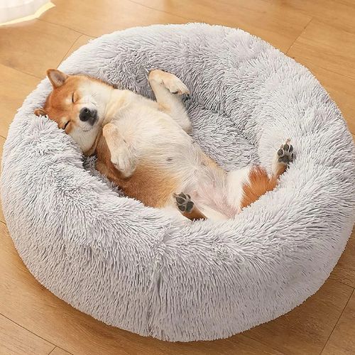 Un Shiba Inu allongé sur le dos dans un coussin pour chien gris clair moelleux dans un intérieur moderne