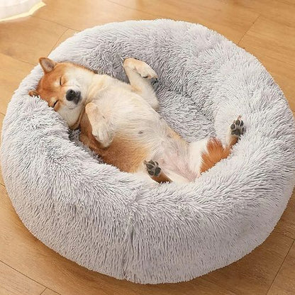 Un Shiba Inu allongé sur le dos dans un coussin pour chien gris clair moelleux dans un intérieur moderne