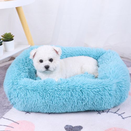 Petit chien blanc assis sur un coussin chien rectangulaire bleu clair, en peluche longue et douce, idéal pour le confort et la détente.