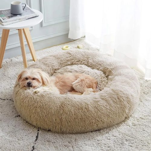 Petit chien beige couché sur un coussin chien moelleux et apaisant, en peluche beige, dans un salon lumineux